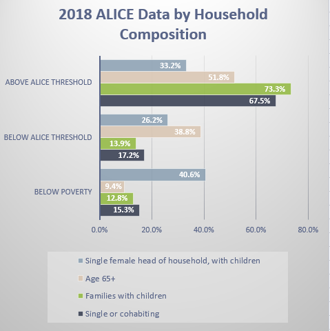 ALICE Household composition